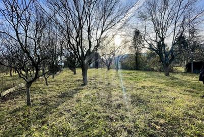 Teren intravilan 1.915 mp + cabană din lemn | Tocile – Sadu - 1