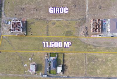 Teren arabil intravilan pentru PUZ 11.600mp | Giroc Teren arabil intravilan pentru PUZ 11.600mp | Giroc - 4