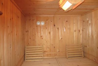 Proprietar închiriez vila lux cu deschidere la Lacul Balotesti - 6