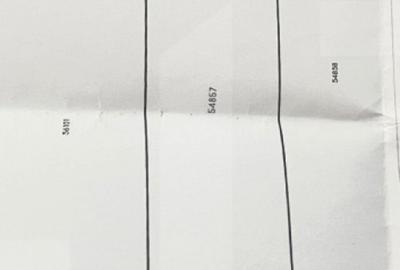 Teren de 1000 mp, în Răchiți - 2