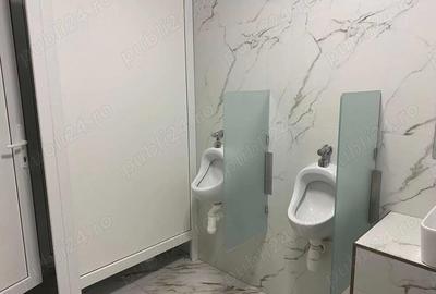 Hala industriala de inchiriat, Calea Aradului, 488mp - 4