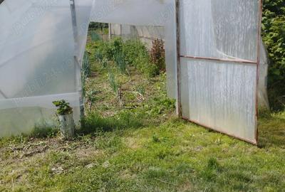 Casă cu 2 camere în Central - 2