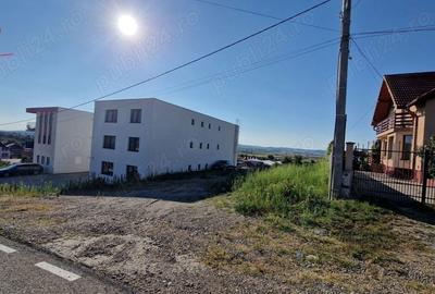 Teren în Criș - 6