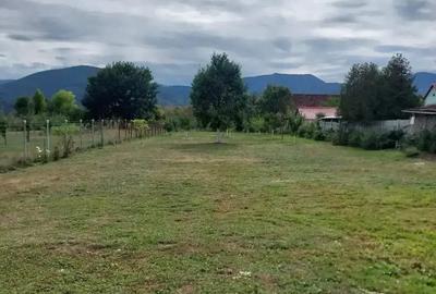 Casă cu 3 camere în Săcel - 9