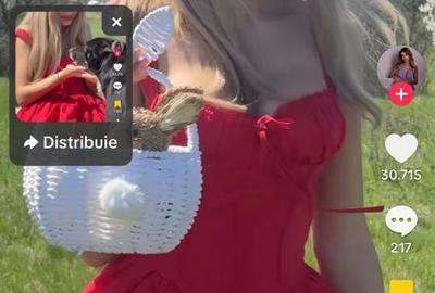 Casă cu 4 camere în Slătioara - 7