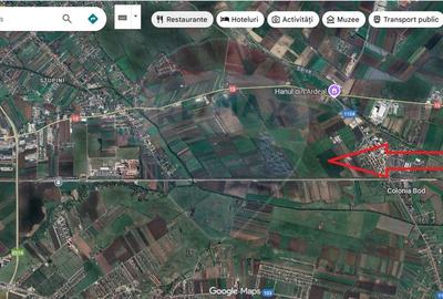 Teren intravilan de 20000 mp, în Stupini - 3