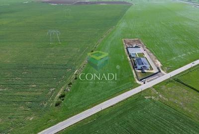 Teren pretabil pentru industrial - Cernica - 1 Ha - 2