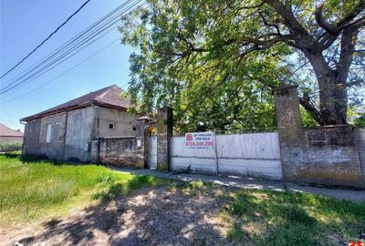 Casă cu 5 camere decomandat cu Teren 2155 Mp în Periam - 4