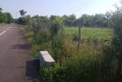 Teren de 1000 mp, în Măicănești