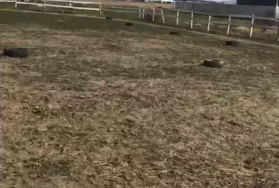 Teren de 840 mp, în Săbăreni