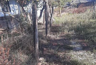 Teren de 817 mp, în Mandra
