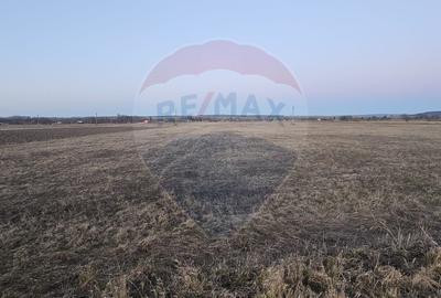 Teren de 1400 mp, în Filipești - 1