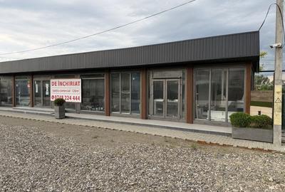 Spațiu comercial, de 120 mp, în Drăgușeni - 8