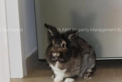 For Sale – Code C20-01 – Old Town - Gabroveni 14 For Sale – Code C20-01 – Old Town - Gabroveni 14 - 6