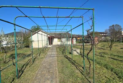 Casă individuală cu 4 camere cu Canalizare în Vadu - 4