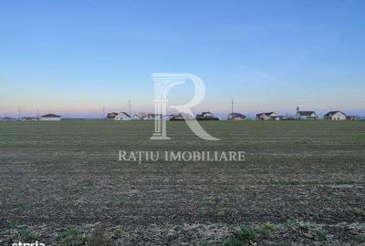 Teren de 500 mp, în Nojorid - 5