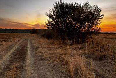 Teren de 5000 mp, în Brestei - 3