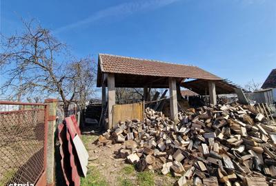 Casă cu 3 camere cu Teren 2230 Mp în Saca - 20