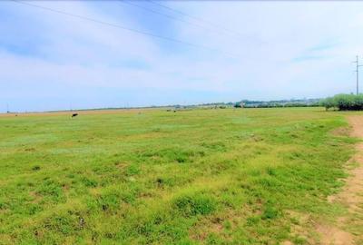 OCAZIE ! EFORIE NORD, ULTIMELE 3 LOTURI, 517 MP. 19.500 EURO IDEAL INVESTITIE ! - 8