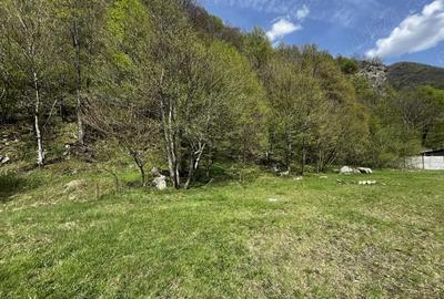 Teren de 919 mp, în Clopotiva - 3