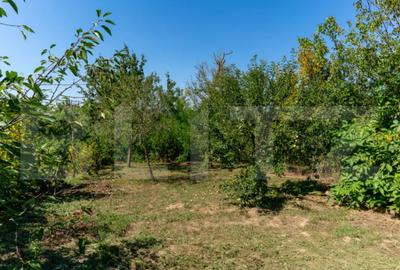 Casă cu 3 camere cu Teren 4000 Mp în Rovina (Brănișca) - 12