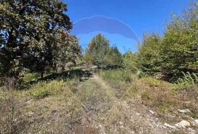 Teren intravilan Buru | ideal agrement, activita?i outdoor - 2