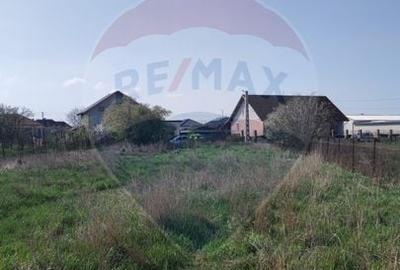 Casă cu 5 camere cu Teren 2324 Mp în Fughiu - 15