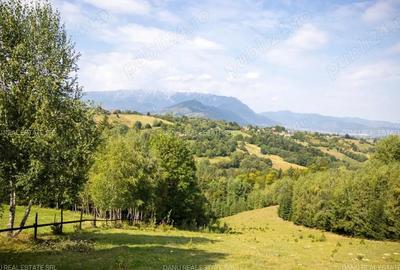 Teren de 10131 mp, în Sohodol - 6