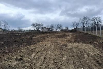 Teren de 1350 mp, în Dorobanț - 12