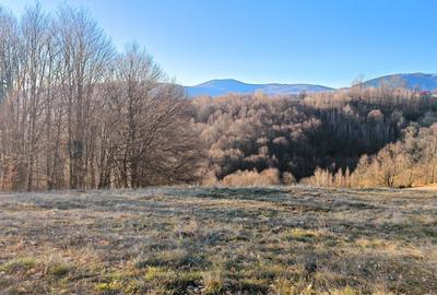 22.206 mp (2,2 Ha) TEREN INTRAVILAN SUPERB CU PEISAJ PANORAMIC, NEGRENI - CLUJ - 33