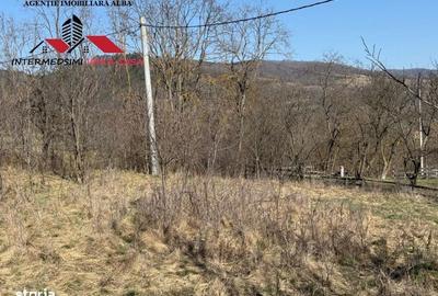 Casă cu 4 camere în Pârău lui Mihai - 12