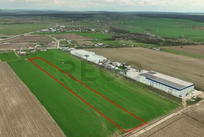 Teren pentru parcelat in Apateu - 4