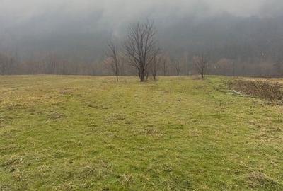 Teren de 4435 mp, în Central - 4