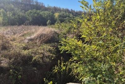 Teren Construcții intravilan de 2000 mp, în Condeești - 1