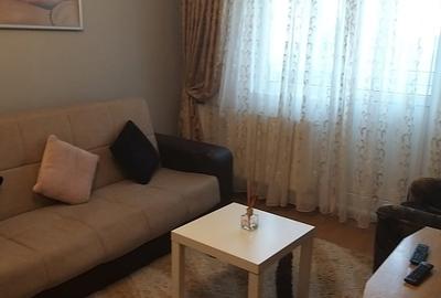 Apartament cu 2 camere semidecomandat în Berceni - 4