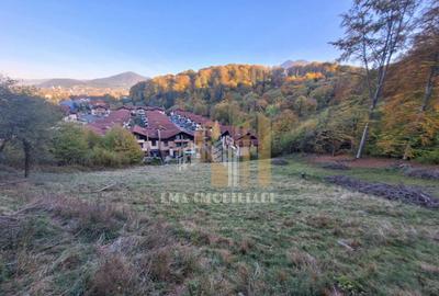 Teren de vanzare 2900 mp Brasov/Strada Ciresului - 1