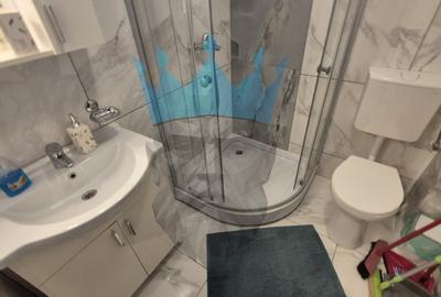 Apartament 2 camere Iancului - 10