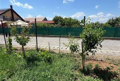 RECO Casa la rosu, la iesire din Les, langa padure - 11