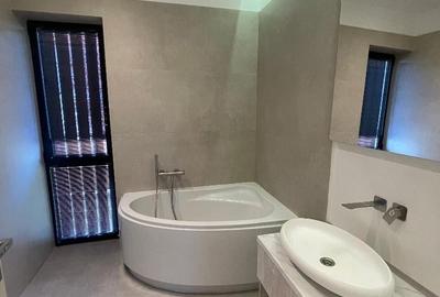 Duplex cu 5 camere cu Canalizare în Iancu Nicolae - 38