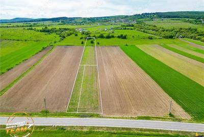 FILM! Teren intravilan industial, cu PUZ si acces la DJ112, Sfantu Gheorghe FILM! Teren intravilan industial, cu PUZ si acces la DJ112, Sfantu Gheorghe - 1