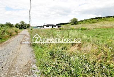 Teren 6.800mp teren cu deschidere de 100 m la drum asfaltat - 4