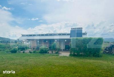 Casă cu 6 camere cu Teren 10000 Mp în Central