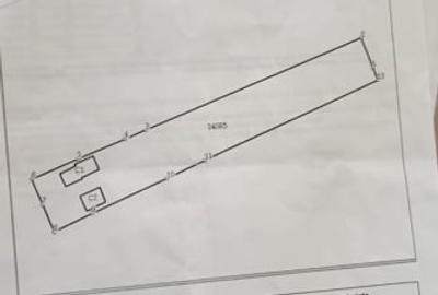 Casă cu teren 2272 mp - Vasilati, Calărași, put, curent, asfalt - 11
