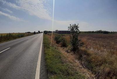 Teren de 5000 mp, în Central - 4