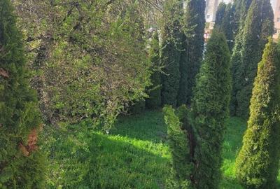 Casă cu 1 camere cu Teren 100 Mp în Central - 1