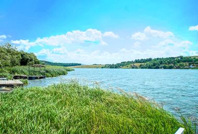 Proprietate unică pe malul lacului Moacșa – liniște, rafinament, eleganta - 56