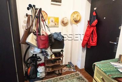 Fundeni - Dobroiesti - 15