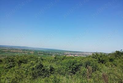 Teren de 350 mp, în Cercu - 1