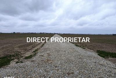 Teren de 9545 mp, în Berceni - 7