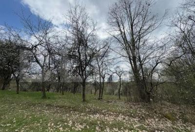 Casă cu 2 camere cu Teren 10000 Mp în Central - 2